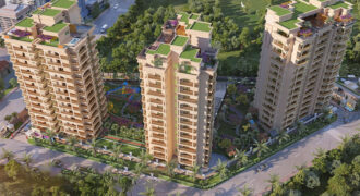 Regal Heights